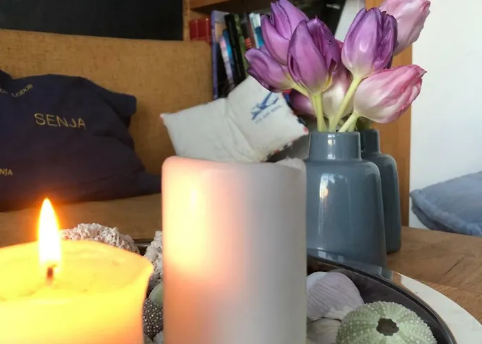 אכסניה Basecamp Senja פינסנס