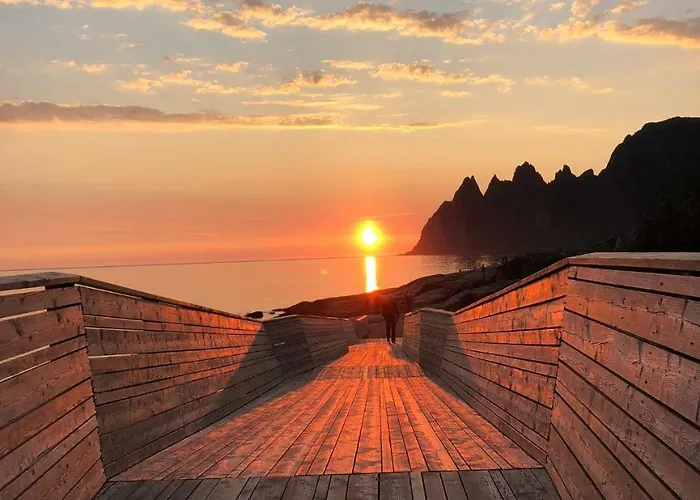 אכסניה Basecamp Senja