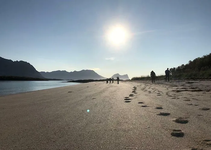 אכסניה Basecamp Senja