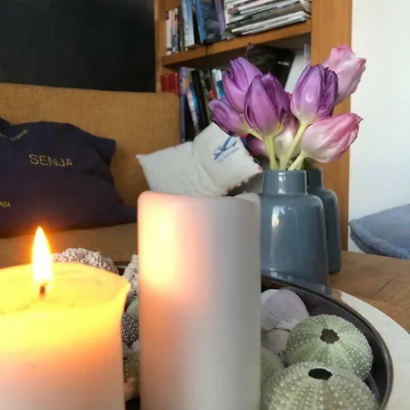 Hostel Basecamp Senja Finnsnes