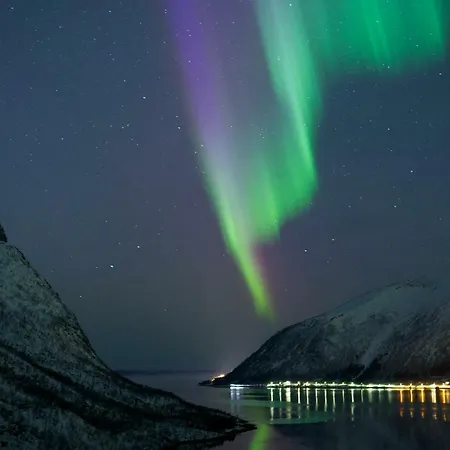 Basecamp Senja Hostel Finnsnes