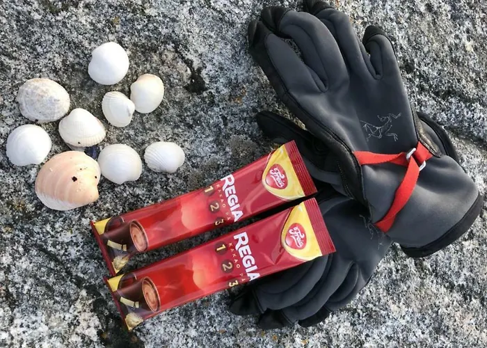 Basecamp Senja Hostel